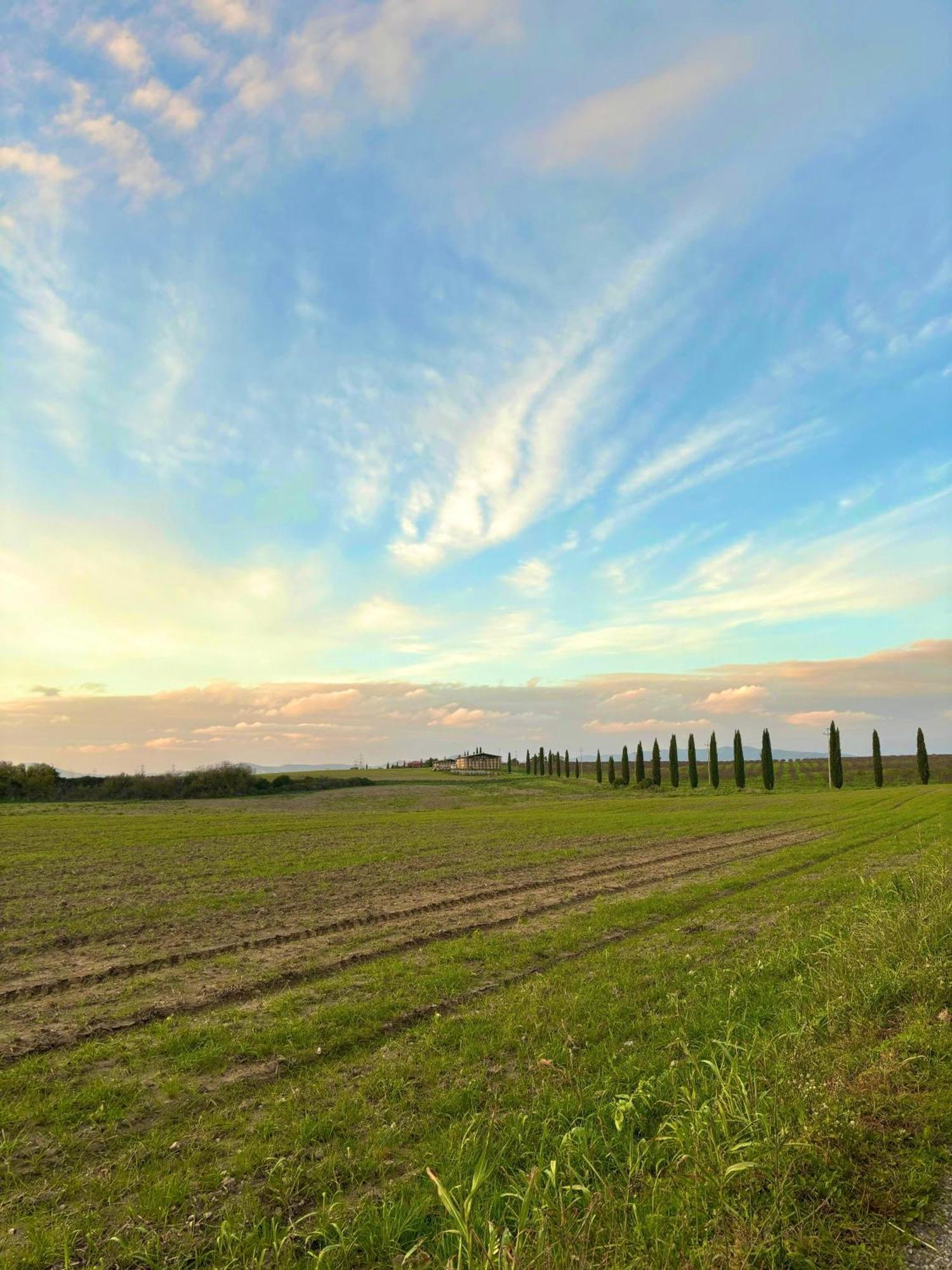 Tenuta Saracone Montalto di Castro Kültér fotó
